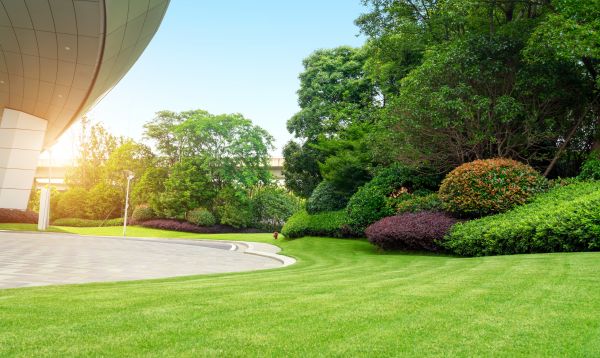 Commercial Lawn Mowing in Prattville