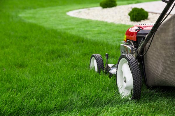 Lawn Cutting Service in Prattville