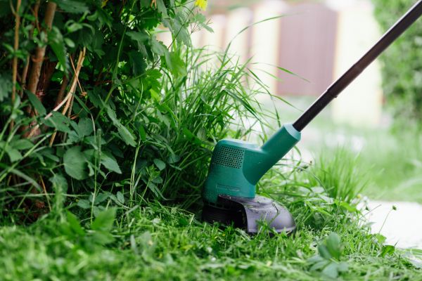 Weed Whacking in Prattville