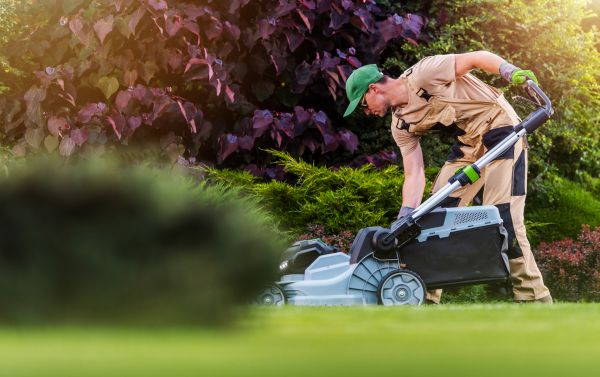 Yard Care Service in Prattville