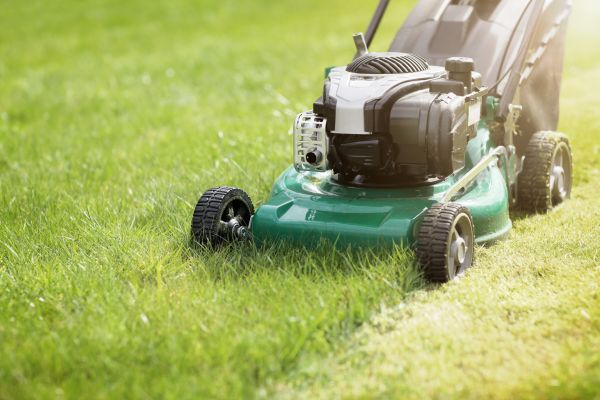 Yard Cutting in Prattville
