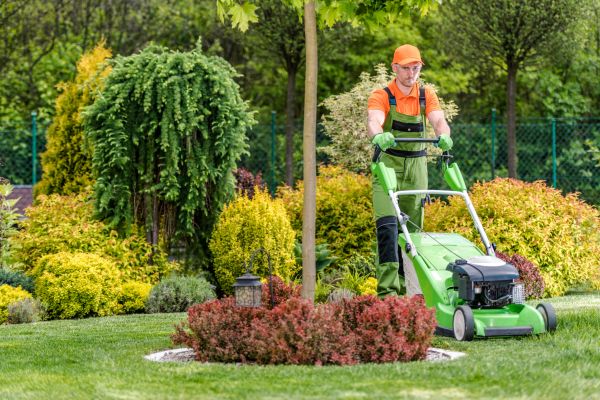 Yard Service in Prattville