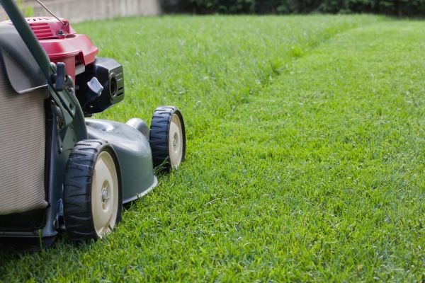 Residential Lawn Care in Prattville