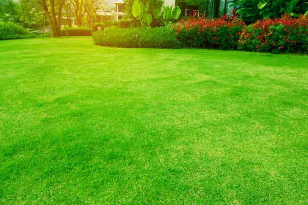 Grass Maintenance in Prattville