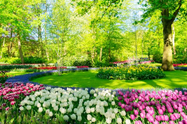 Spring Lawn Care in Prattville