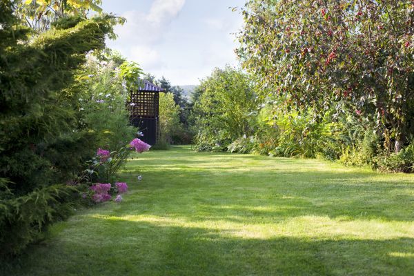 Yard Upkeep Service in Prattville