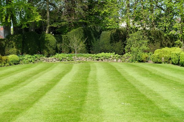 Grass Care Service in Prattville