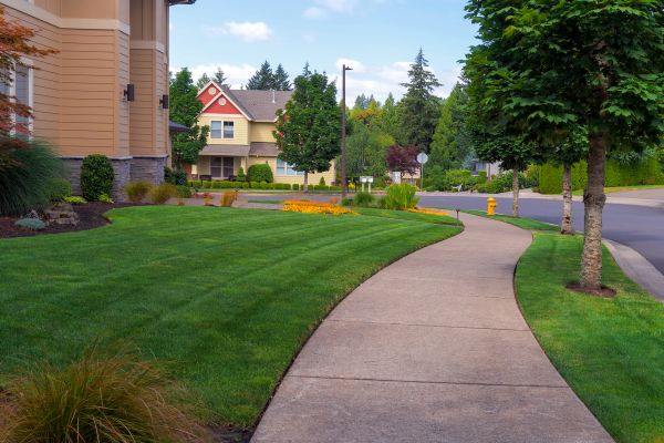 Home Lawn Maintenance in Prattville