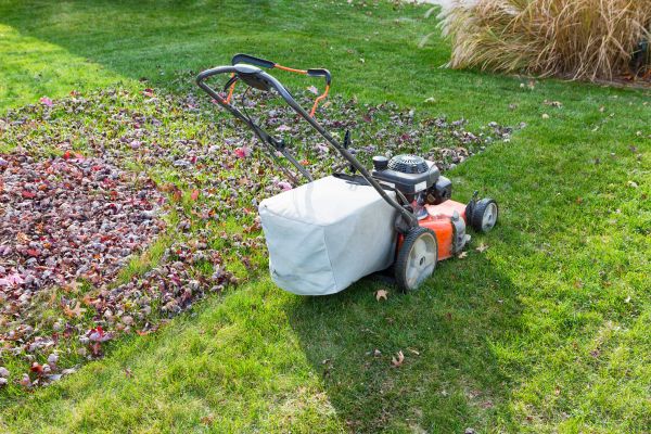 Seasonal Lawn Care in Prattville