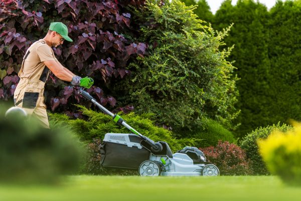 Lawn Management in Prattville