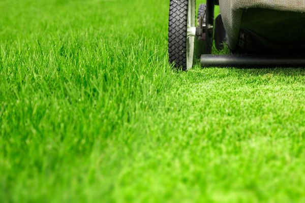 Weekly Lawn Care in Prattville