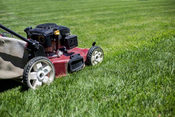 Routine Lawn Care in Prattville