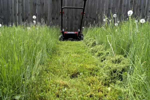High Grass Mowing in Prattville