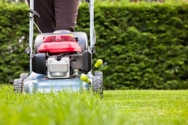 Grass Trimming Service in Prattville