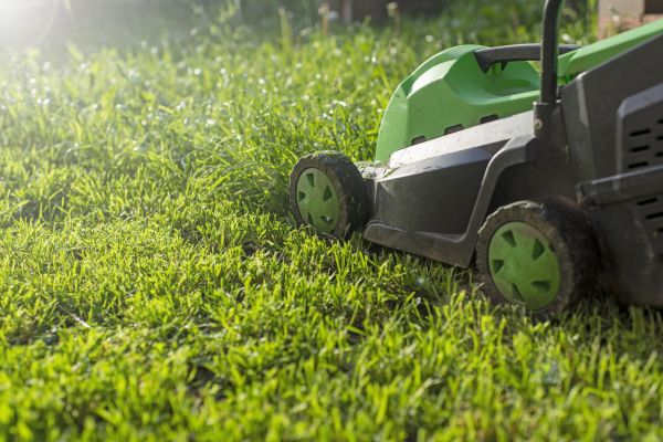 Yard Trimming in Prattville