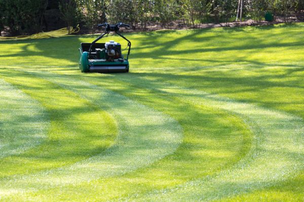 Business Lawn Mowing in Prattville