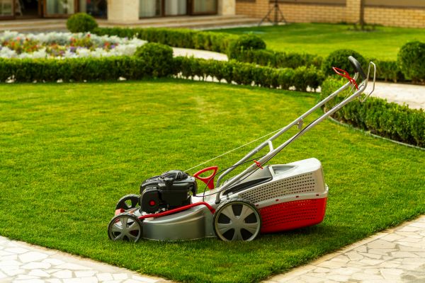 Business Grass Cutting in Prattville