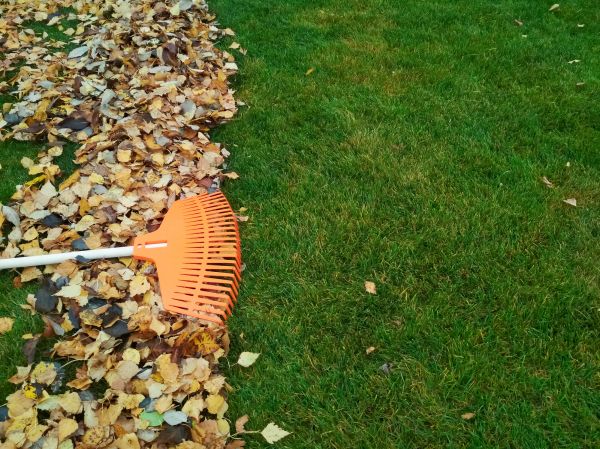 Fall Lawn Care in Prattville
