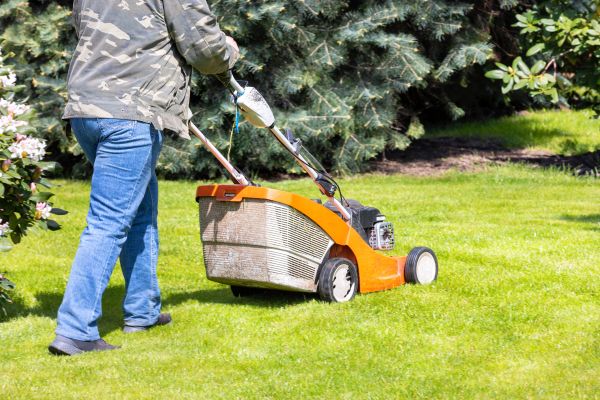 Springtime Lawn Care in Prattville