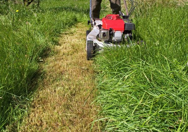 Leaf Mowing in Prattville