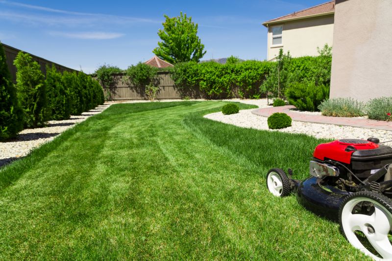 Tidy Lawn After Mowing