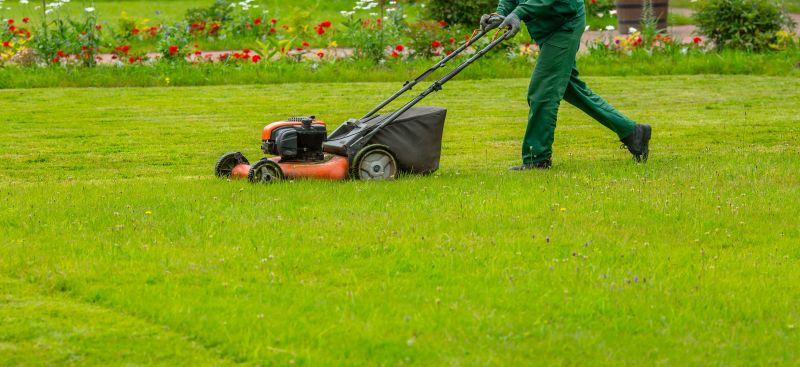 Customized Lawn Care Plans