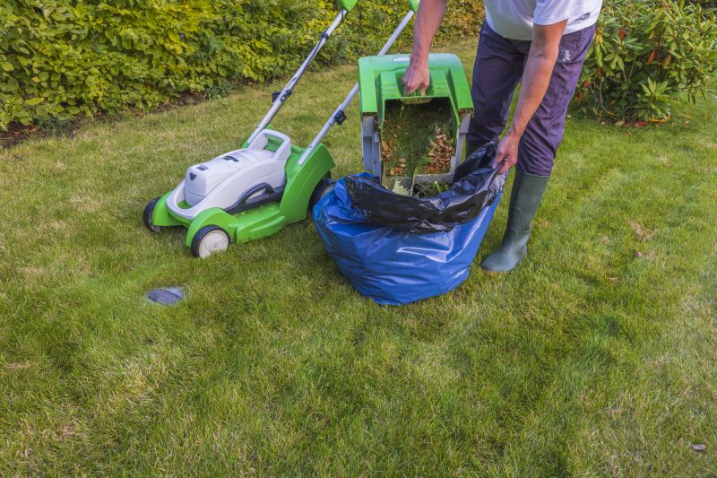Lawn Maintenance Services